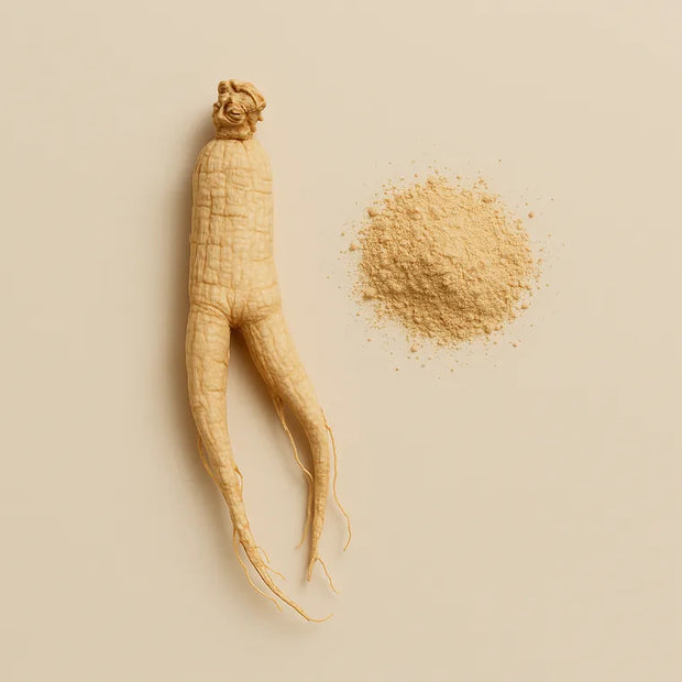 Raíz y polvo de ginseng