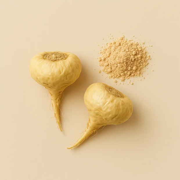 Raíces y polvo de maca
